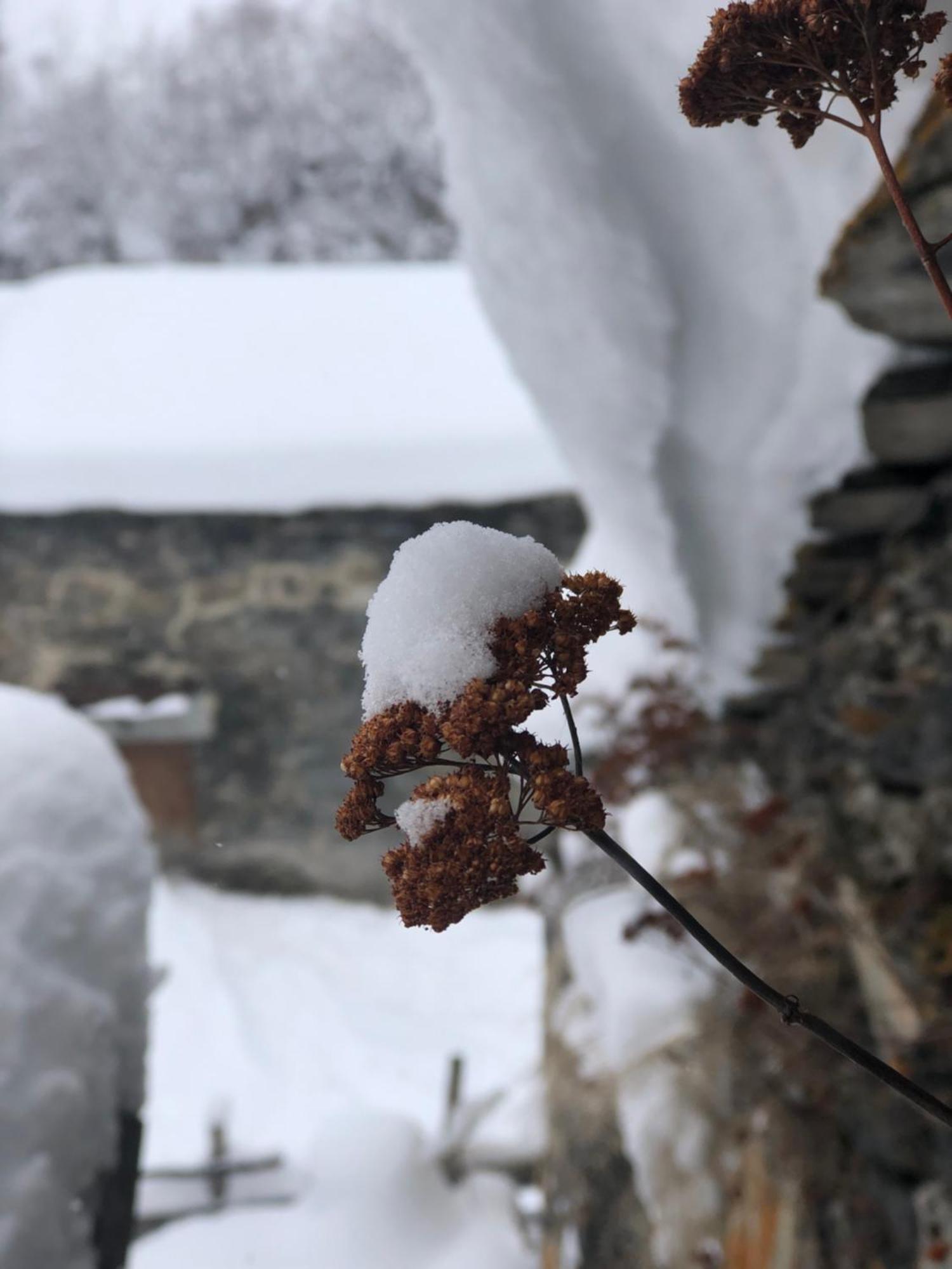 Old House Hotel Ushguli Exterior foto