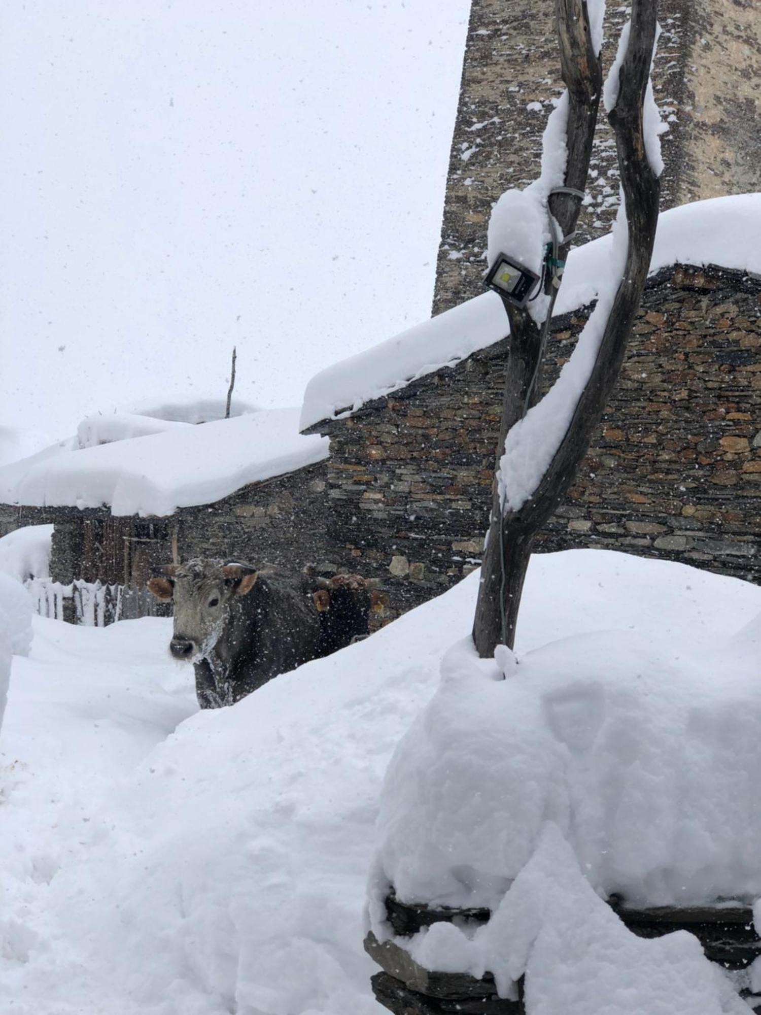 Old House Hotel Ushguli Exterior foto